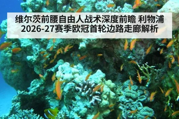 维尔茨前腰自由人战术深度前瞻 利物浦2026-27赛季欧冠首轮边路走廊解析
